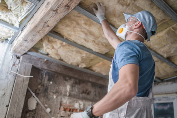 Best Specialized Insulation Services in Vinton, LA
