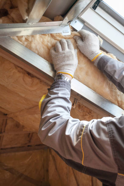 Best Commercial Insulation in Vinton, LA