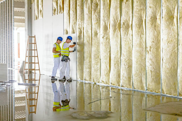 Best Spray Foam Insulation in Vinton, LA